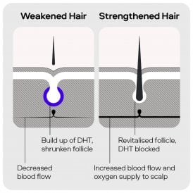 Sons Strengthening Shampoo - 200 ml